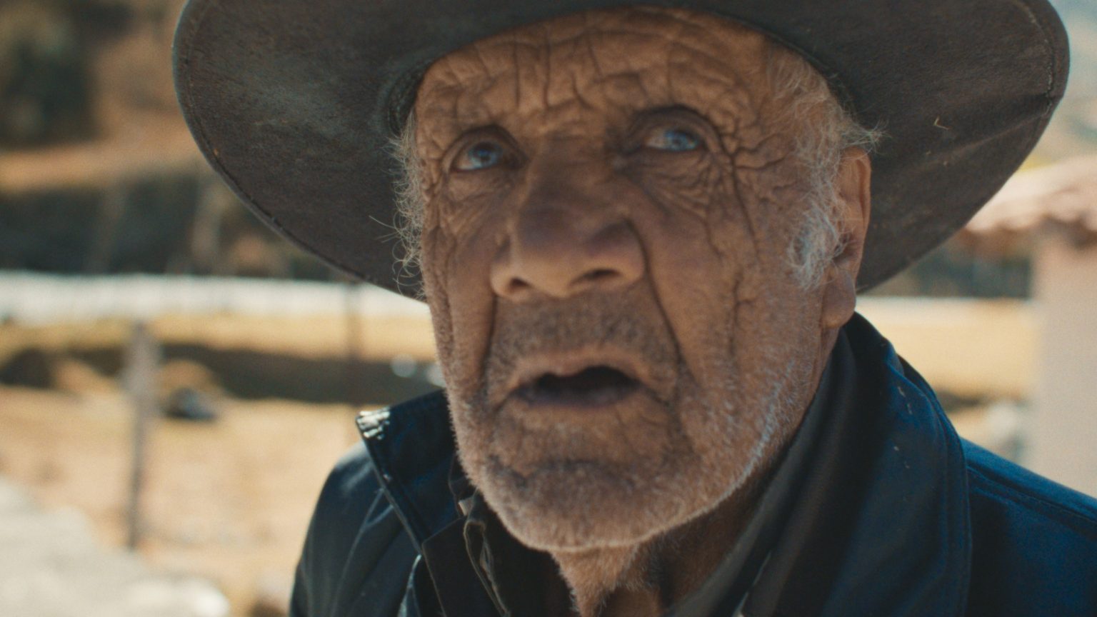 BUSCANDO UN BURRO_STILL 1