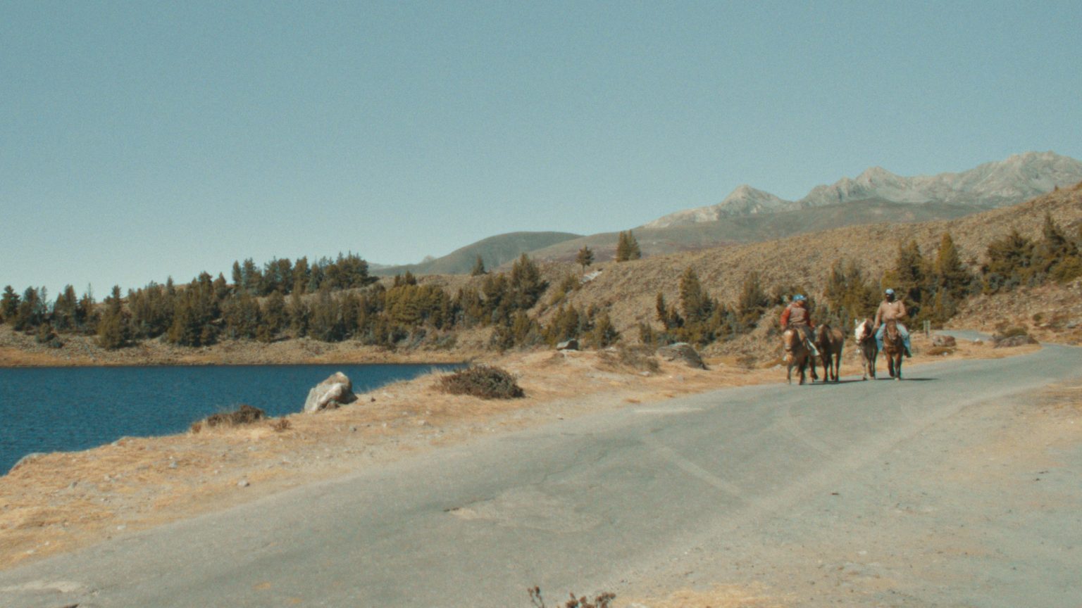 BUSCANDO UN BURRO_STILL 2