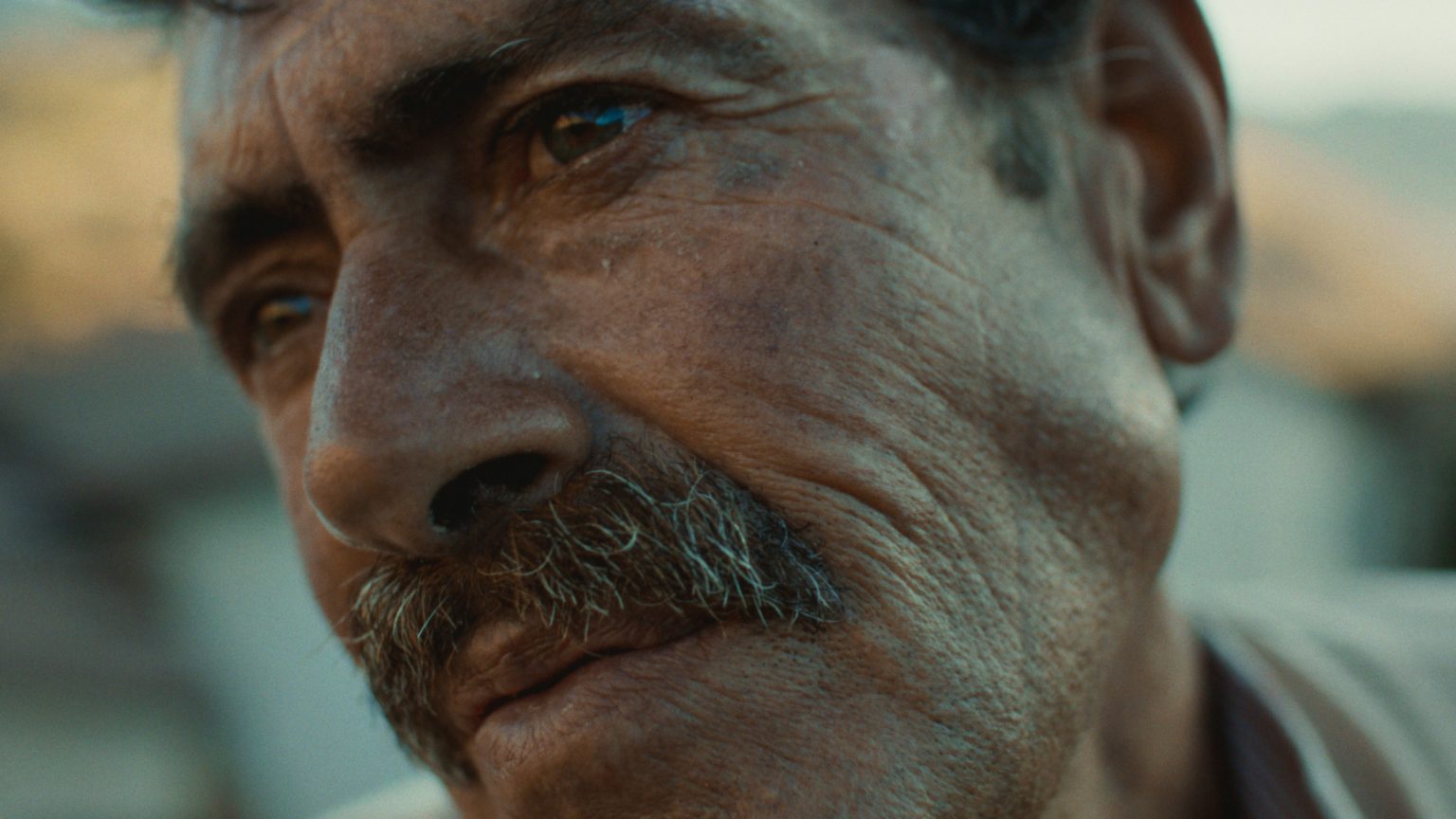 BUSCANDO UN BURRO_STILL 3