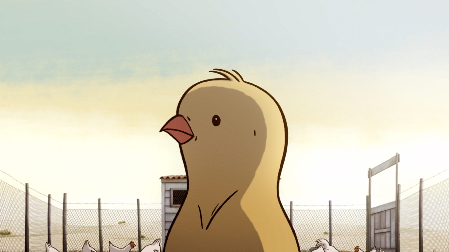 LC_00_04_00_15.Imagen fija009